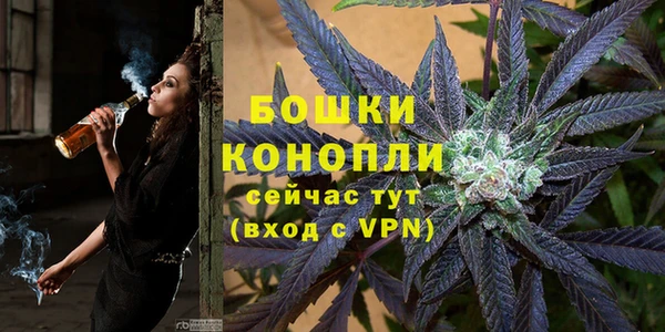 МДПВ Медвежьегорск