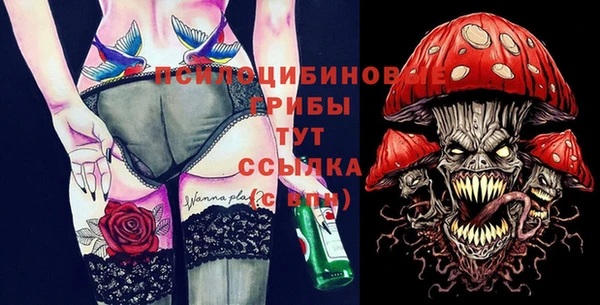 ешки Медногорск