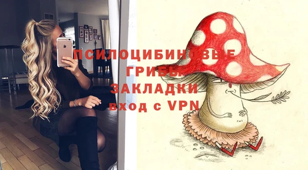 дживик Абинск