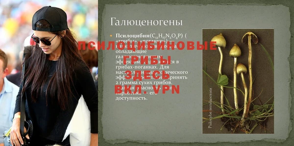 ешки Медногорск