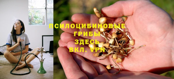 дживик Абинск