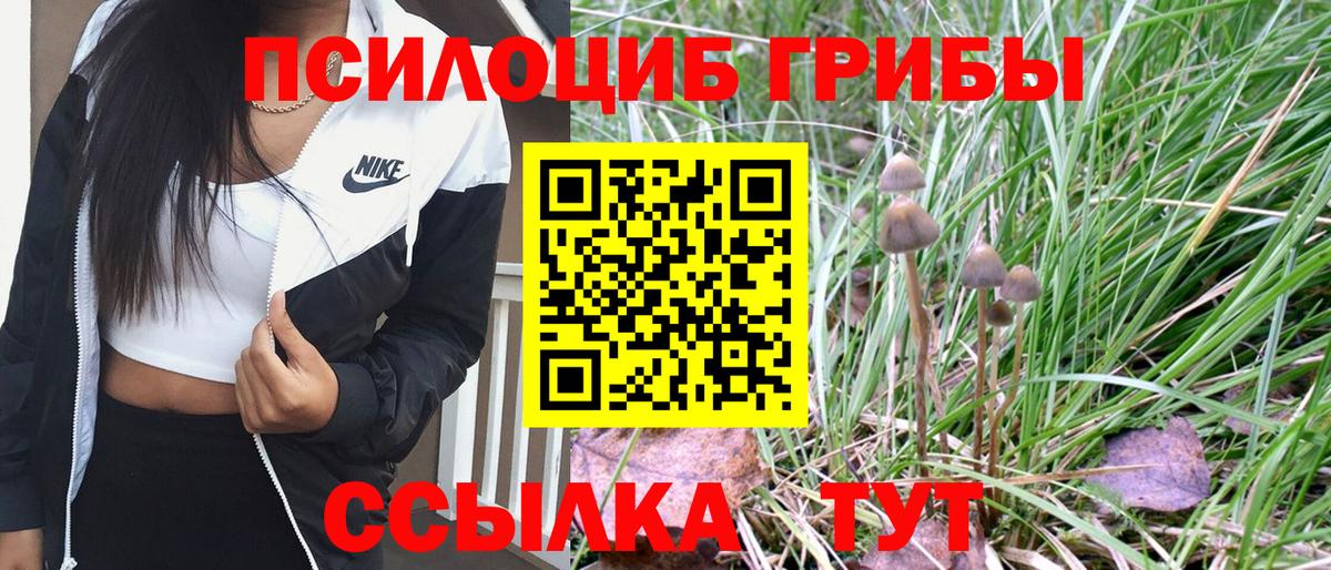 Псилоцибиновые грибы Magic Shrooms  Псилоцибиновые грибы Psilocybe  Вход с VPN  Воронеж 
